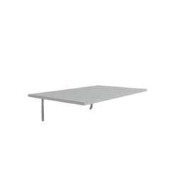 Mācību galds Asir, 96x40 cm, balts цена и информация | Компьютерные, письменные столы | 220.lv