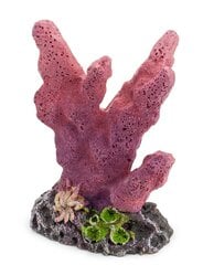 Akvārija rotājums 407C koraļļi 10 cm Happet цена и информация | Аквариумные растения и декорации | 220.lv