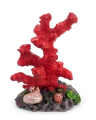 Happet akvārija rotājums 407E koraļļi 10 cm cena un informācija | Akvārija augi, dekori | 220.lv