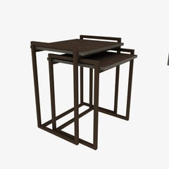 Prece ar bojājumu. 2-u kafijas galdiņu komplekts Kalune Design Linea, tumši pelēks/brūns cena un informācija | Preces ar bojājumiem | 220.lv