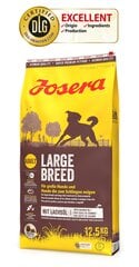 Josera для средних и крупных пород собак Large Breed, 12,5 кг цена и информация | Сухой корм для собак | 220.lv