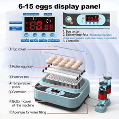Olu inkubators ar automātisku temperatūras un mitruma kontroli Ouyolad, 12 olas cena un informācija | Preces lauksaimniecības dzīvniekiem | 220.lv