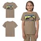 T-krekls zēniem 4F, brūns cena un informācija | Zēnu krekli | 220.lv