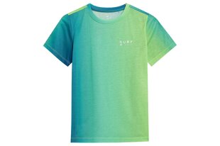 T-krekli zēniem 4F, dažādas krāsas цена и информация | Рубашки для мальчиков | 220.lv