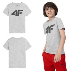 Детская футболка 4F серого цвета, размер 152 4FJSS23TTSHM294_CHLODNY_JASNY_SZARY_MELANZ_152 цена и информация | Рубашки для мальчиков | 220.lv