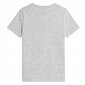 T-krekls zēniem 4F 4FJSS23TTSHM293, pelēks cena un informācija | Zēnu krekli | 220.lv