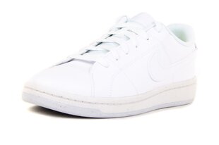 NIKE МУЖСКИЕ КРОССОВКИ COURT ROYALE 2 DH3160-100, БЕЛЫЕ, 41 DH3160100_41 цена и информация | Кроссовки для мужчин | 220.lv