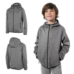 Džemperis zēniem, pelēks cena un informācija | Zēnu jakas, džemperi, žaketes, vestes | 220.lv