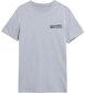 T-krekls vīriešiem 4F, pelēks cena un informācija | Vīriešu T-krekli | 220.lv
