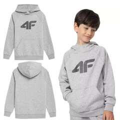 Džemperis zēniem 4F, pelēks cena un informācija | Zēnu jakas, džemperi, žaketes, vestes | 220.lv