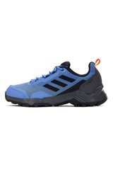 Pārgājienu apavi vīriešiem Adidas HP8610, zili цена и информация | Мужские ботинки | 220.lv