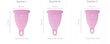 Menstruālā tase Perfect Cup, 3 gab. cena un informācija | Tamponi, higiēniskās paketes, ieliktnīši | 220.lv