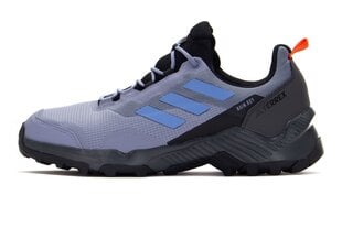 Ботинки Adidas Terrex Eastrail 2 R.RDY HP8604, фиолетовые, размер 44 HP8604_44 цена и информация | Мужские ботинки | 220.lv