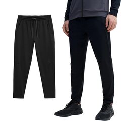 Спортивные брюки 4F для мужчин, цвет черный, размер L 4FSS23TFTRM101_GLEBOKA_CZERN_L цена и информация | Мужские брюки | 220.lv