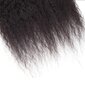 Pieaudzējamie mati ar klipšiem Silk-co 45cm, 120g cena un informācija | Matu aksesuāri | 220.lv
