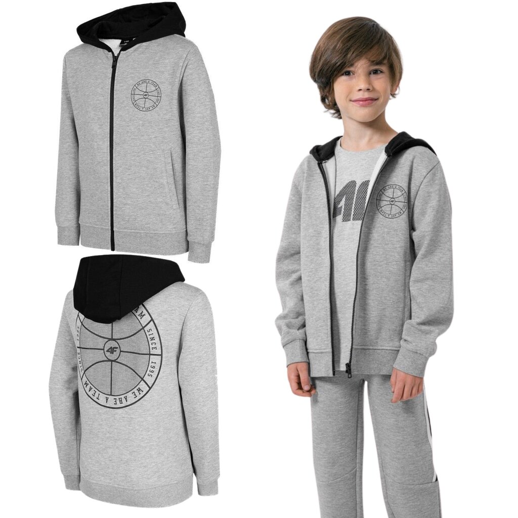 Džemperis zēniem 4F, pelēks cena un informācija | Zēnu jakas, džemperi, žaketes, vestes | 220.lv