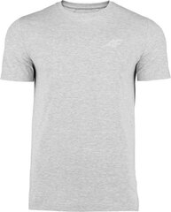 T-krekls vīriešiem 4F, pelēks цена и информация | Мужские футболки | 220.lv