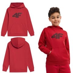 Džemperis zēniem 4F, sarkans cena un informācija | Zēnu jakas, džemperi, žaketes, vestes | 220.lv