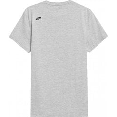 T-krekls vīriešiem 4F 4FSS23TTSHM537, pelēks цена и информация | Мужские футболки | 220.lv