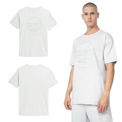 T-krekls vīriešiem 4F, pelēks цена и информация | Мужские футболки | 220.lv