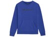 Džemperis zēniem 4F, zils cena un informācija | Zēnu jakas, džemperi, žaketes, vestes | 220.lv