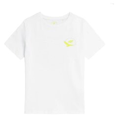 Kофта для мальчика без рукавов 4F JTSM010 белый 122 цена и информация | Рубашки для мальчиков | 220.lv