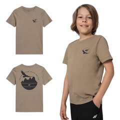 T-krekls zēniem 4F, brūns cena un informācija | Zēnu krekli | 220.lv