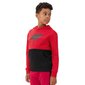 Džemperis zēniem 4F, sarkans цена и информация | Zēnu jakas, džemperi, žaketes, vestes | 220.lv