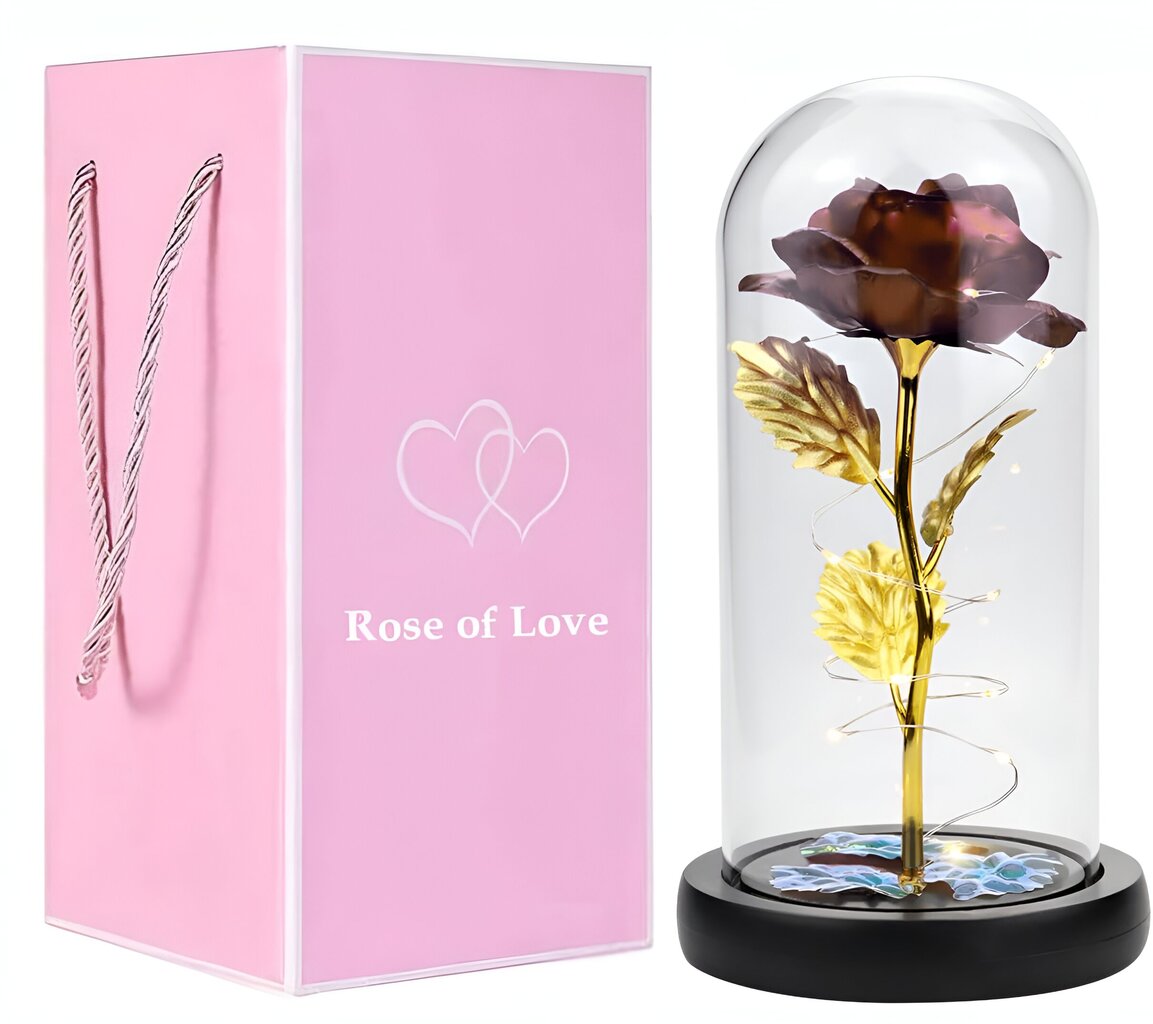 Mūžīgā roze stikla kupolā ar LED gaismām, Livman cena un informācija | Citas oriģinālas dāvanas | 220.lv