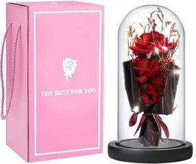 Mūžīgs 3 rožu pušķis stikla kupolā ar LED gaismām, Livman cena un informācija | Citas oriģinālas dāvanas | 220.lv