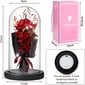 Mūžīgs 3 rožu pušķis stikla kupolā ar LED gaismām, Livman cena un informācija | Citas oriģinālas dāvanas | 220.lv