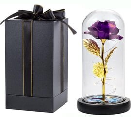 Вечная роза в стеклянном куполе со светодиодной подсветкой, LIVMAN цена и информация | Другие оригинальные подарки | 220.lv