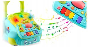Izglītojoša stumjamā mašīna ar mūziku cena un informācija | Rotaļlietas zīdaiņiem | 220.lv