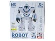 Adar Robots r/c цена и информация | Rotaļlietas zēniem | 220.lv