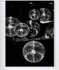 Настенный декор - холст DISCO BALL, 20смх30см цена и информация | Картины | 220.lv