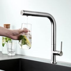 Virtuves jaucējkrāns ar ūdens filtru Kenes, sudrabs cena un informācija | Ūdens maisītāji virtuvei | 220.lv