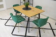 4 krēslu komplekts Nest, zaļš cena un informācija | Virtuves un ēdamistabas krēsli | 220.lv