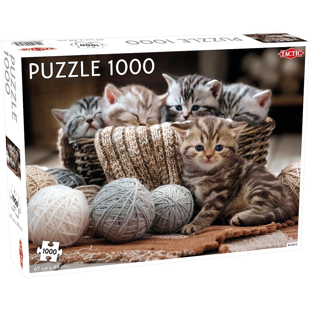 Puzle Tactic Mīlīgi kaķēni, 1000 d. cena un informācija | Puzles, 3D puzles | 220.lv
