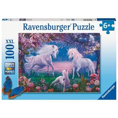 Puzle Ravensburger Vienradži, 100 d. cena un informācija | Puzles, 3D puzles | 220.lv