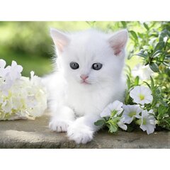 Пазл Ravensburger, 1500 деталей, белый котёнок цена и информация | Пазлы | 220.lv