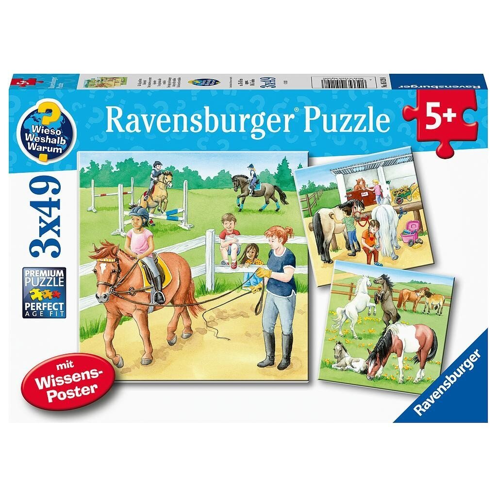 Puzle Ravensburger Zirgi, 3x49 d. cena un informācija | Puzles, 3D puzles | 220.lv