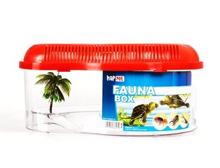 Bruņurupuču baseins ar vāku 3 Happet цена и информация | Товары для экзотических животных | 220.lv