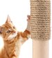 Virve kaķu skrāpēšanas stabiņam 2 spoles - 6 mm x 20 m cena un informācija | Kaķu mājas, nagu asināmie | 220.lv