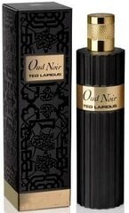 Парфюмированная вода для мужчин Ted Lapidus Oud Noir EDP, 100 мл цена и информация | Мужские духи | 220.lv