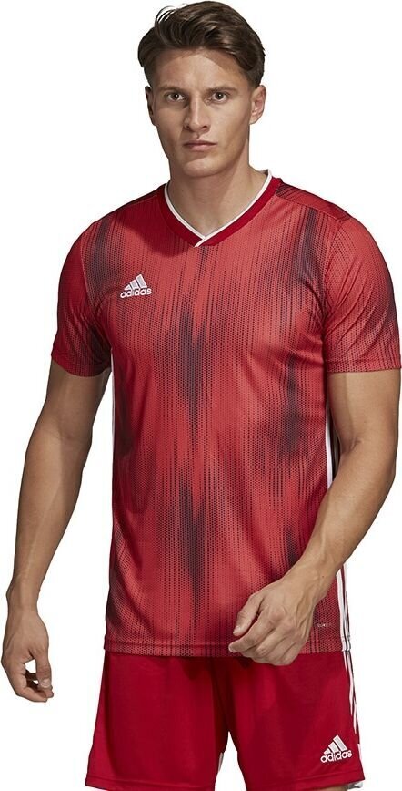 Futbola T-krekls Adidas DP3531, sarkans цена и информация | Futbola formas un citas preces | 220.lv