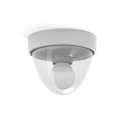 Nowodvorski lighting griestu lampa Nook Sensor cena un informācija | Griestu lampas | 220.lv