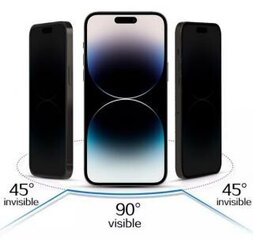 Privacy Glass - iPhone 15 цена и информация | Защитные пленки для телефонов | 220.lv