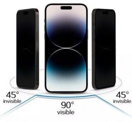 Privacy Glass 9H. цена и информация | Защитные пленки для телефонов | 220.lv