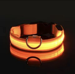 Светящийся в темноте LED ошейник, оранжевый цена и информация | Ошейники, подтяжки для собак | 220.lv
