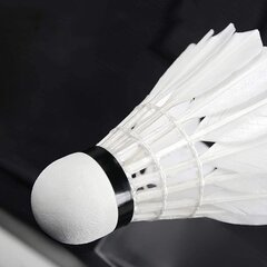 Badmintona volāni Springos, 6 gab. cena un informācija | Badmintons | 220.lv